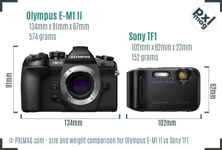 Olympus E-M1 II vs Sony TF1 size comparison