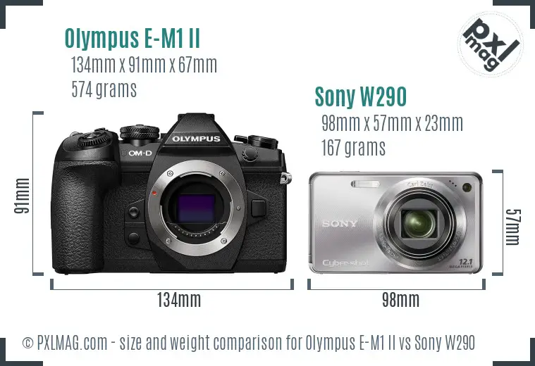 Olympus E-M1 II vs Sony W290 size comparison