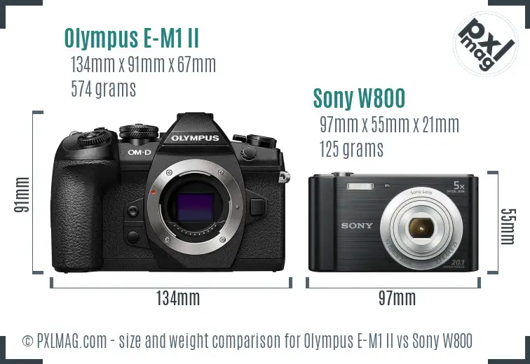 Olympus E-M1 II vs Sony W800 size comparison