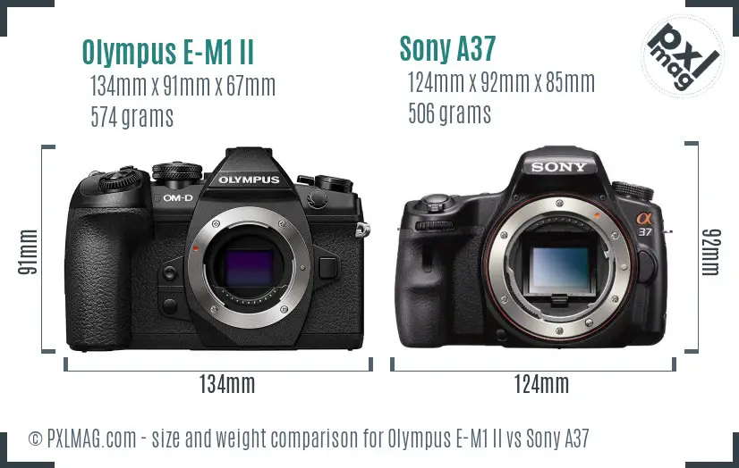 Olympus E-M1 II vs Sony A37 size comparison