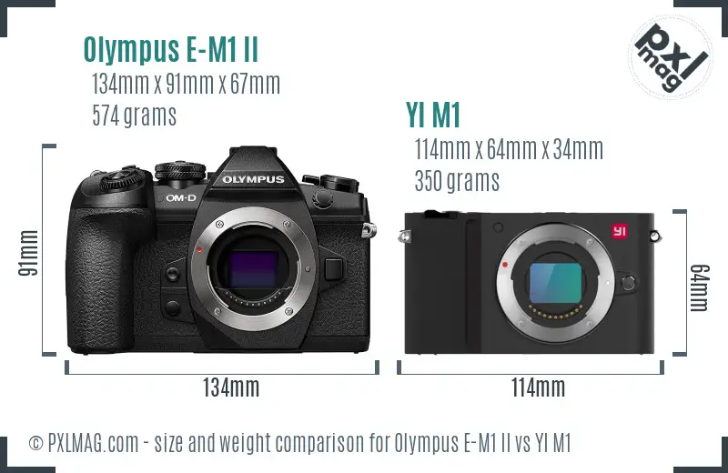 Olympus E-M1 II vs YI M1 size comparison