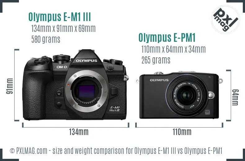 Olympus E-M1 III vs Olympus E-PM1 size comparison