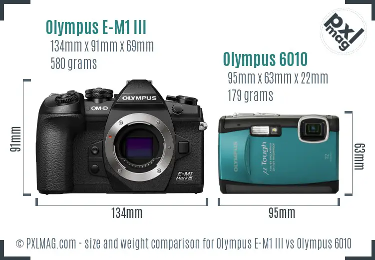 Olympus E-M1 III vs Olympus 6010 size comparison