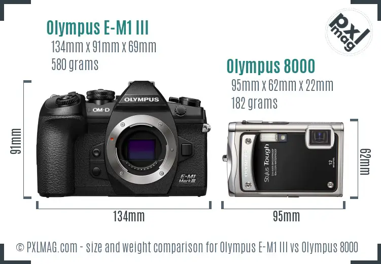 Olympus E-M1 III vs Olympus 8000 size comparison