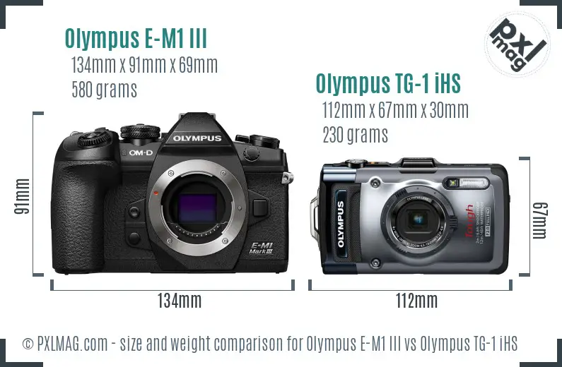 Olympus E-M1 III vs Olympus TG-1 iHS size comparison