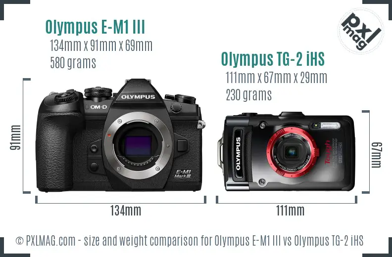 Olympus E-M1 III vs Olympus TG-2 iHS size comparison