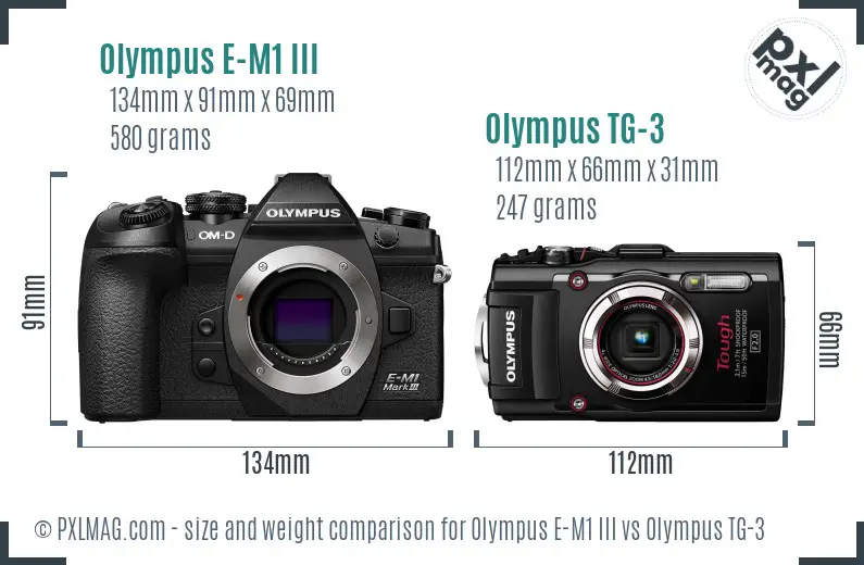Olympus E-M1 III vs Olympus TG-3 size comparison