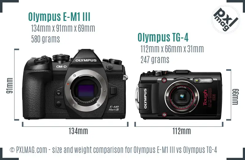 Olympus E-M1 III vs Olympus TG-4 size comparison