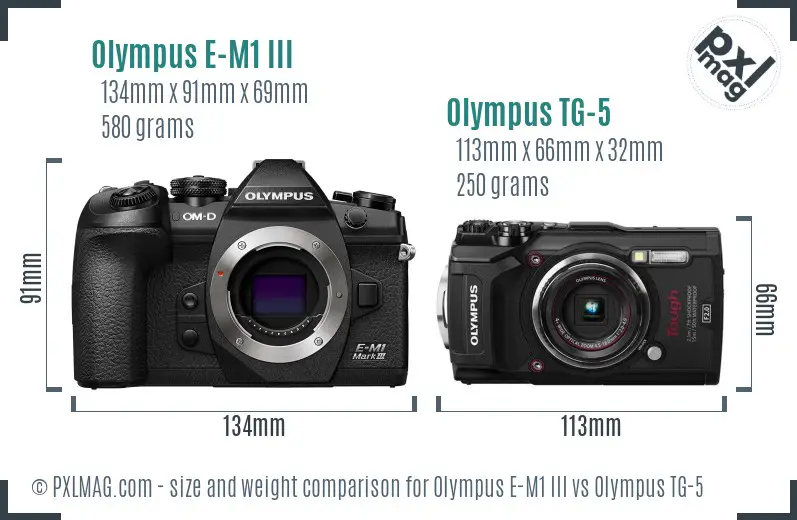 Olympus E-M1 III vs Olympus TG-5 size comparison