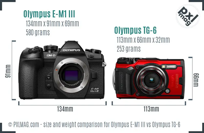Olympus E-M1 III vs Olympus TG-6 size comparison