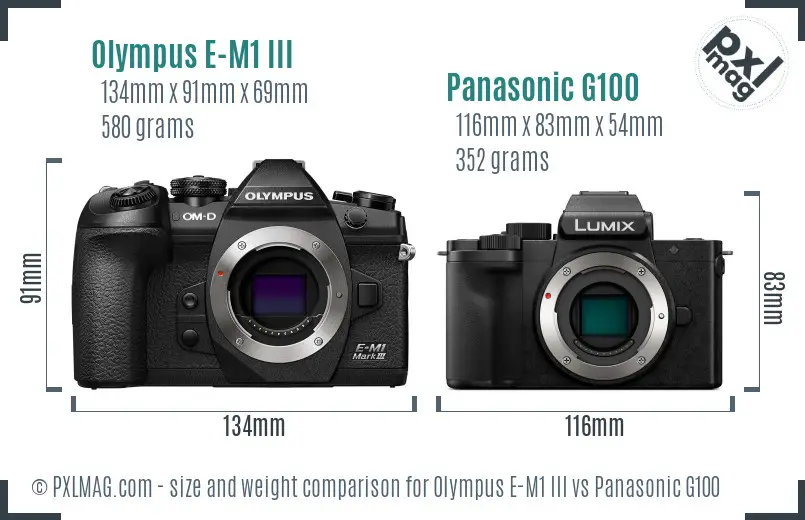 Olympus E-M1 III vs Panasonic G100 size comparison