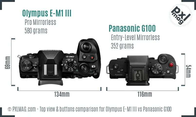 Olympus E-M1 III vs Panasonic G100 top view buttons comparison