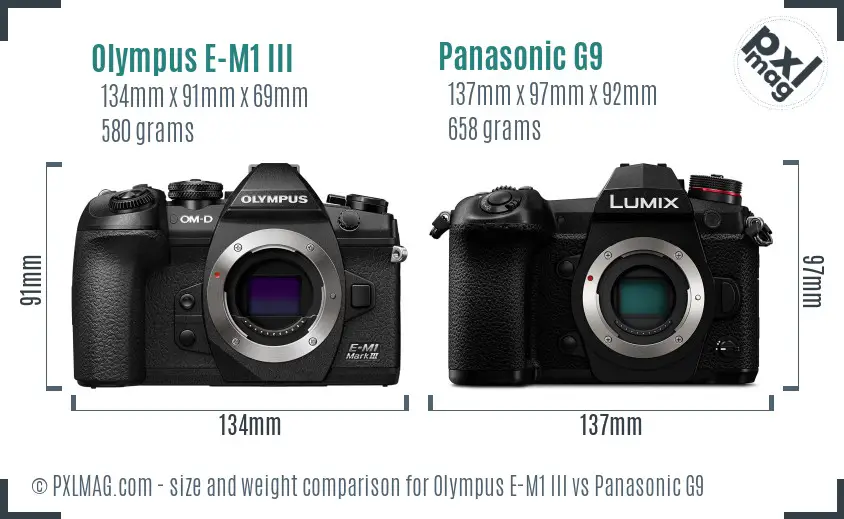 Olympus E-M1 III vs Panasonic G9 size comparison