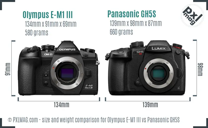 Olympus E-M1 III vs Panasonic GH5S size comparison
