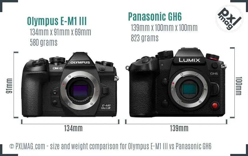 Olympus E-M1 III vs Panasonic GH6 size comparison