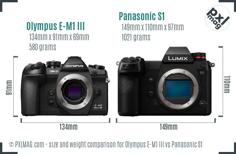 Olympus E-M1 III vs Panasonic S1 size comparison