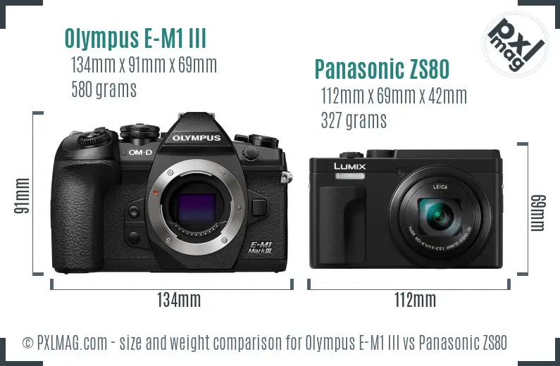 Olympus E-M1 III vs Panasonic ZS80 size comparison