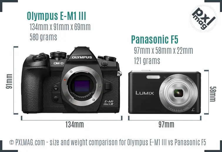 Olympus E-M1 III vs Panasonic F5 size comparison