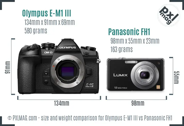 Olympus E-M1 III vs Panasonic FH1 size comparison