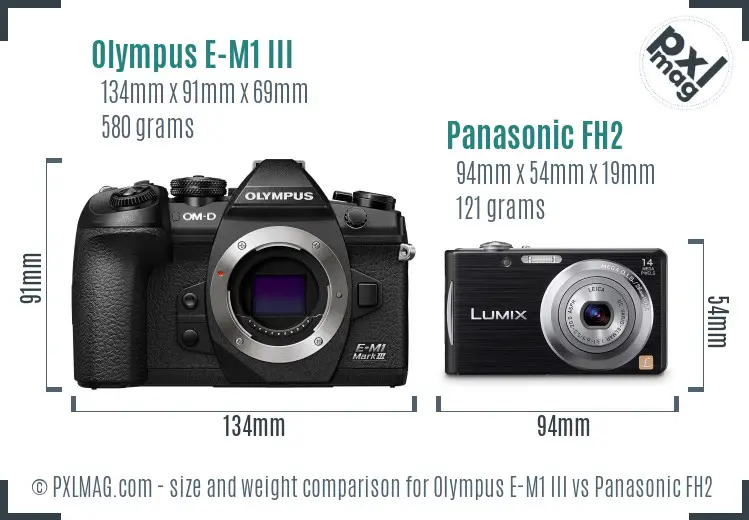 Olympus E-M1 III vs Panasonic FH2 size comparison