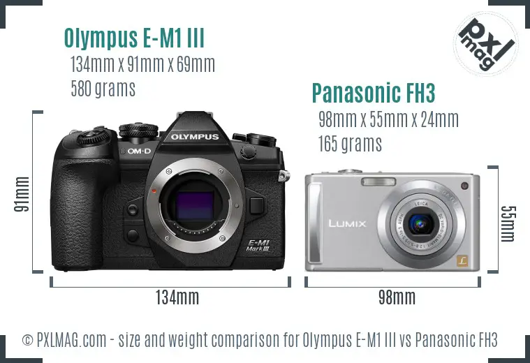 Olympus E-M1 III vs Panasonic FH3 size comparison