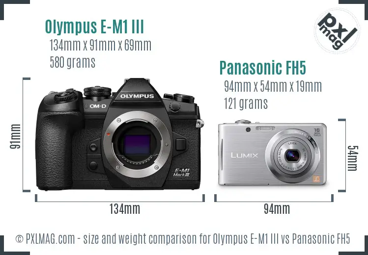 Olympus E-M1 III vs Panasonic FH5 size comparison
