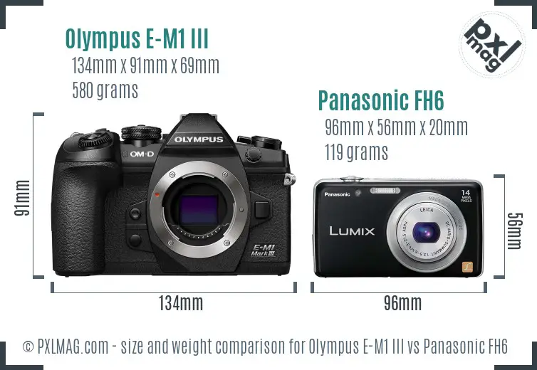 Olympus E-M1 III vs Panasonic FH6 size comparison