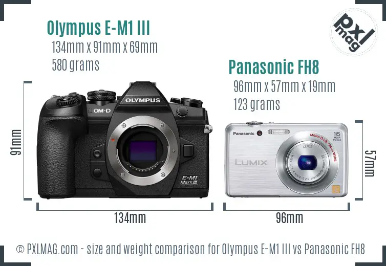 Olympus E-M1 III vs Panasonic FH8 size comparison