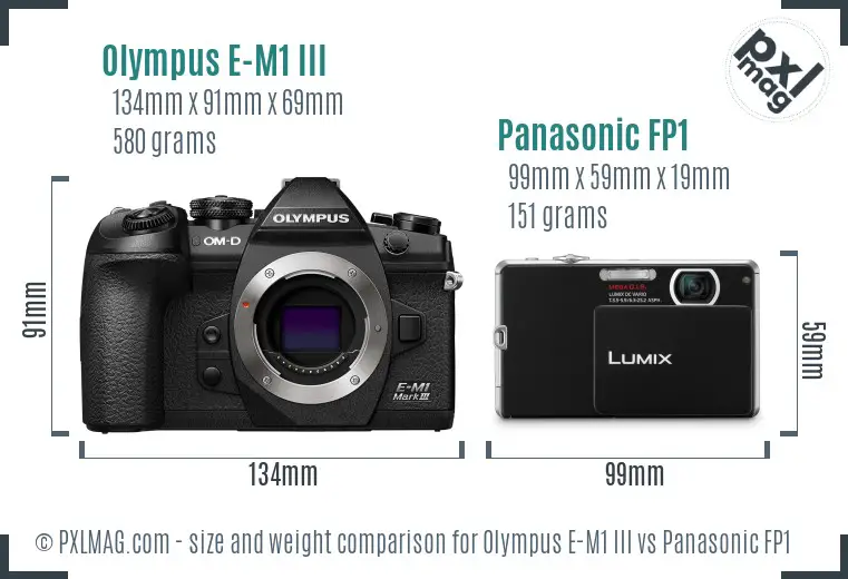 Olympus E-M1 III vs Panasonic FP1 size comparison