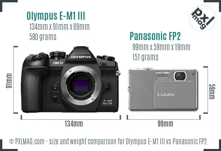 Olympus E-M1 III vs Panasonic FP2 size comparison