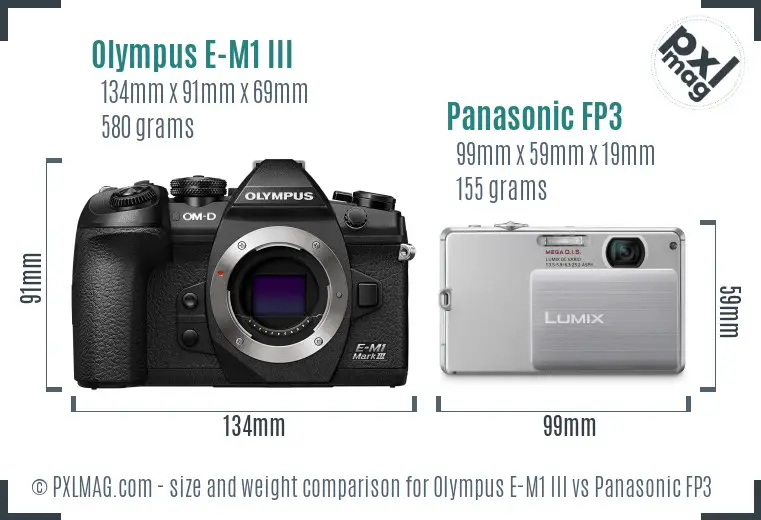 Olympus E-M1 III vs Panasonic FP3 size comparison