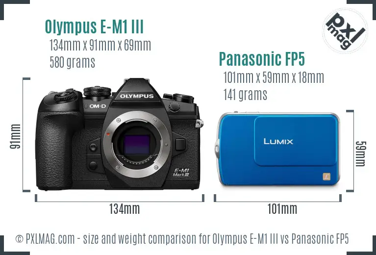 Olympus E-M1 III vs Panasonic FP5 size comparison