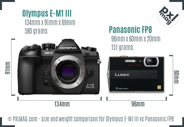 Olympus E-M1 III vs Panasonic FP8 size comparison