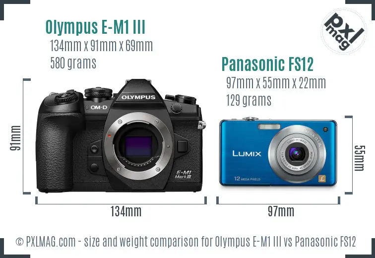 Olympus E-M1 III vs Panasonic FS12 size comparison