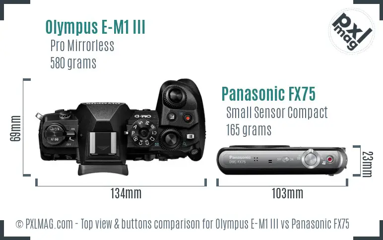 Olympus E-M1 III vs Panasonic FX75 top view buttons comparison