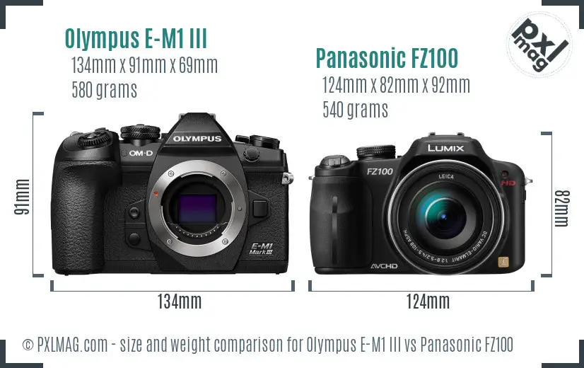 Olympus E-M1 III vs Panasonic FZ100 size comparison