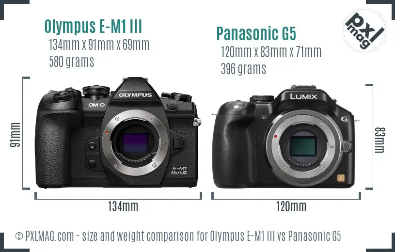Olympus E-M1 III vs Panasonic G5 size comparison