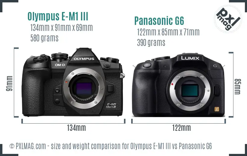 Olympus E-M1 III vs Panasonic G6 size comparison