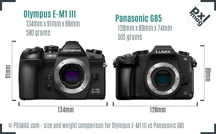 Olympus E-M1 III vs Panasonic G85 size comparison