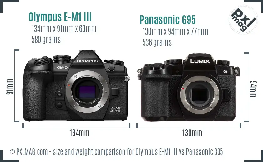 Olympus E-M1 III vs Panasonic G95 size comparison