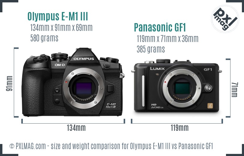 Olympus E-M1 III vs Panasonic GF1 size comparison