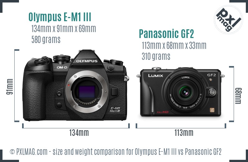 Olympus E-M1 III vs Panasonic GF2 size comparison