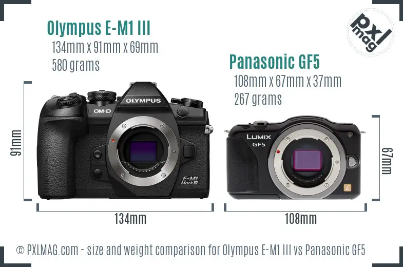 Olympus E-M1 III vs Panasonic GF5 size comparison