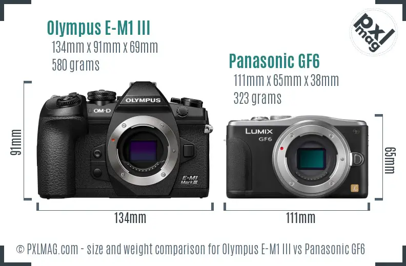 Olympus E-M1 III vs Panasonic GF6 size comparison