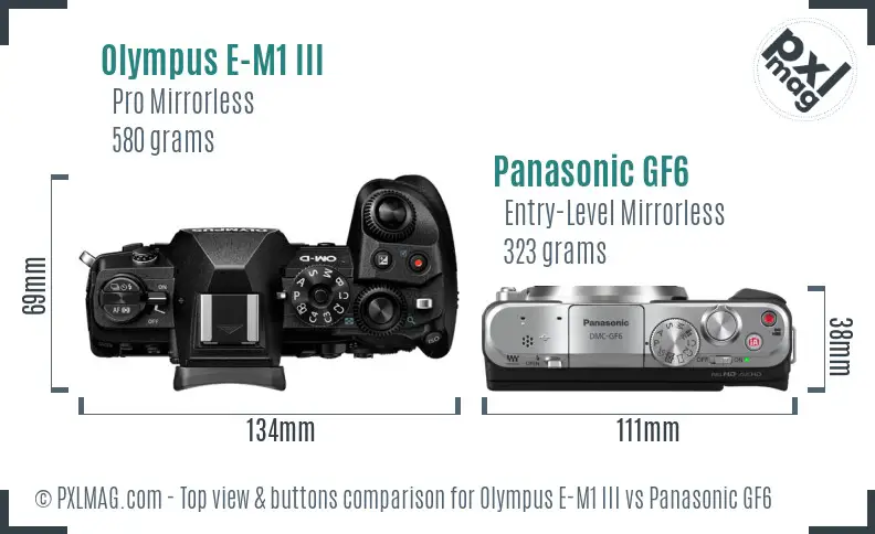 Olympus E-M1 III vs Panasonic GF6 top view buttons comparison