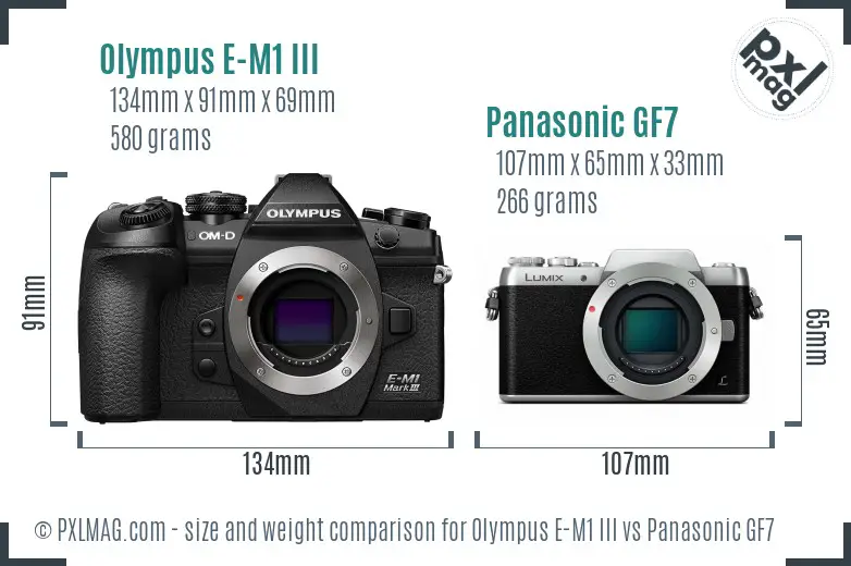 Olympus E-M1 III vs Panasonic GF7 size comparison