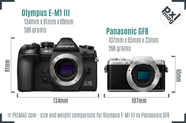 Olympus E-M1 III vs Panasonic GF8 size comparison