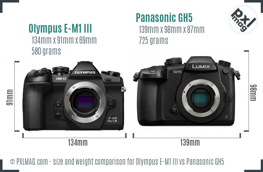 Olympus E-M1 III vs Panasonic GH5 size comparison