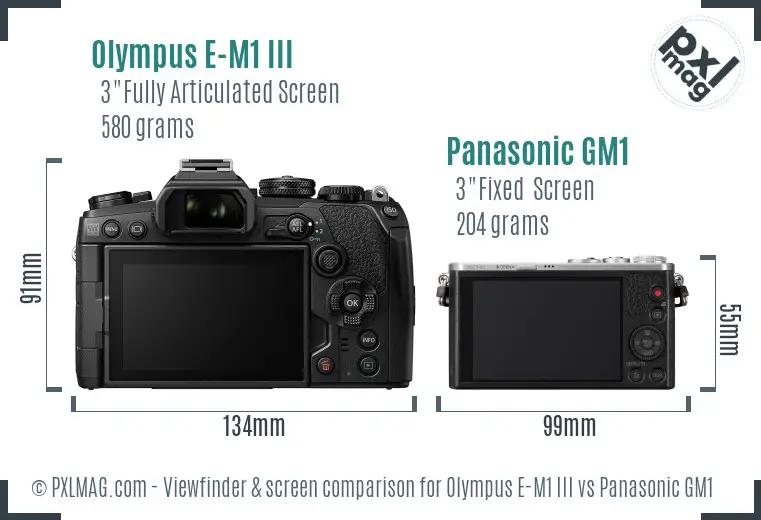 Olympus E-M1 III vs Panasonic GM1 Screen and Viewfinder comparison