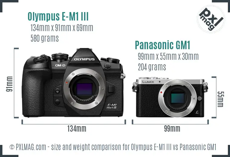 Olympus E-M1 III vs Panasonic GM1 size comparison